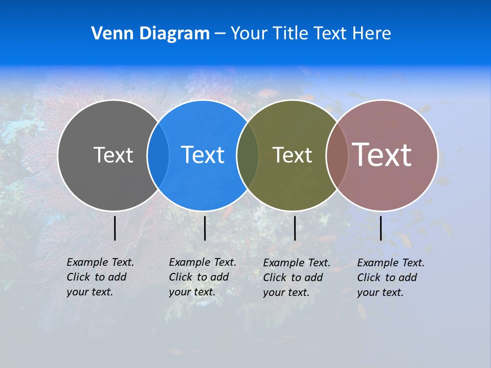 Barrier Clownfish Shallow PowerPoint Template