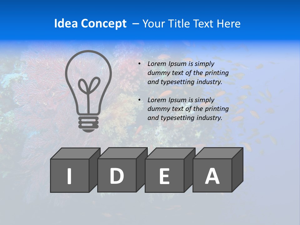 Barrier Clownfish Shallow PowerPoint Template