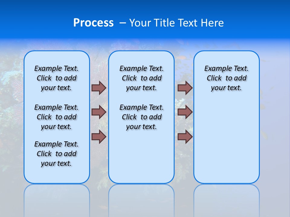 Barrier Clownfish Shallow PowerPoint Template