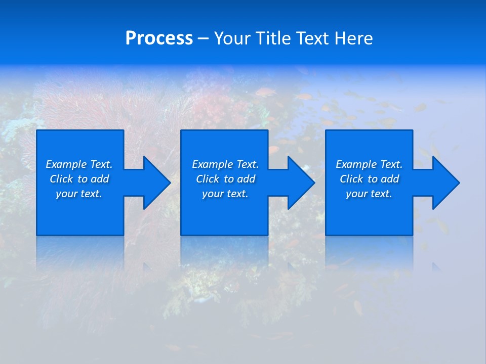 Barrier Clownfish Shallow PowerPoint Template