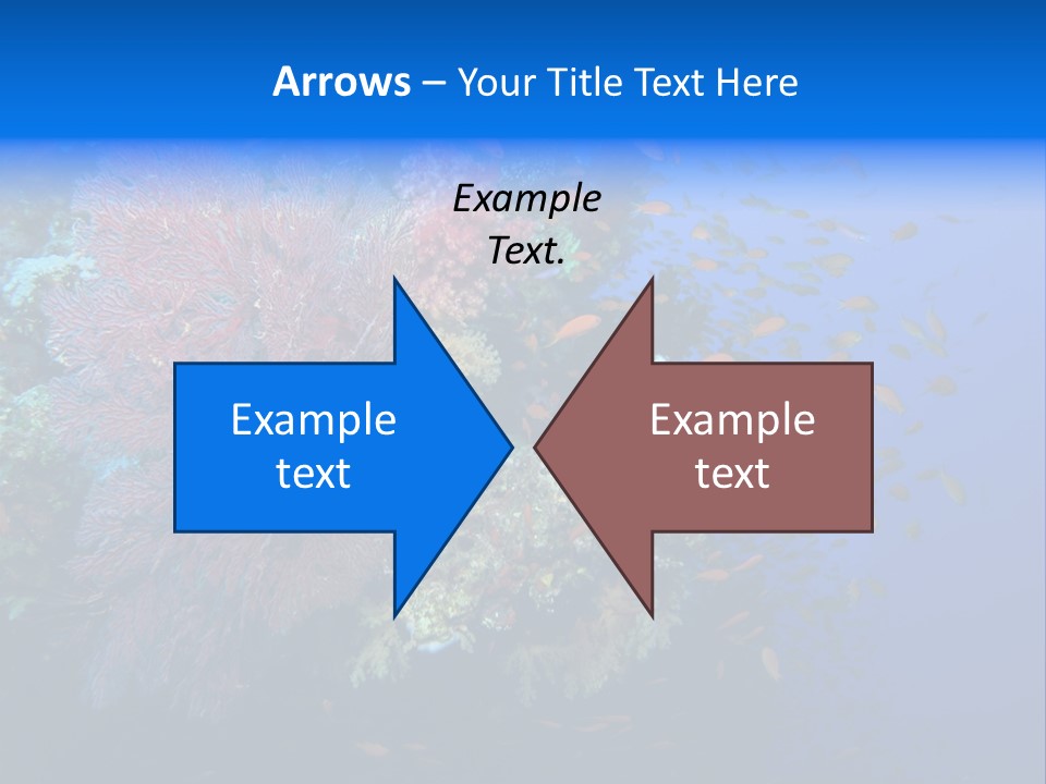 Barrier Clownfish Shallow PowerPoint Template