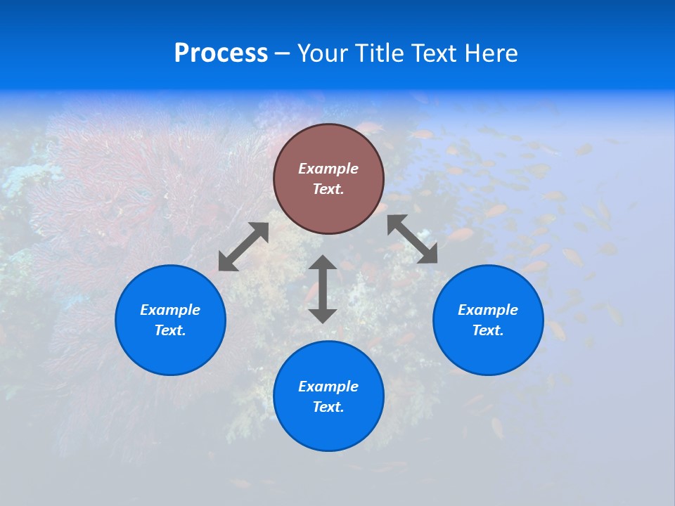 Barrier Clownfish Shallow PowerPoint Template
