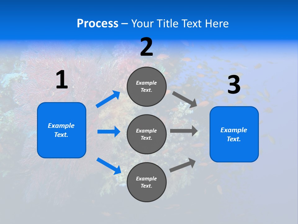 Barrier Clownfish Shallow PowerPoint Template