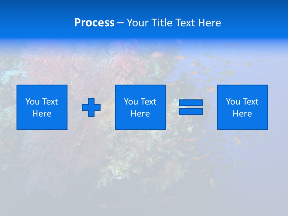 Barrier Clownfish Shallow PowerPoint Template
