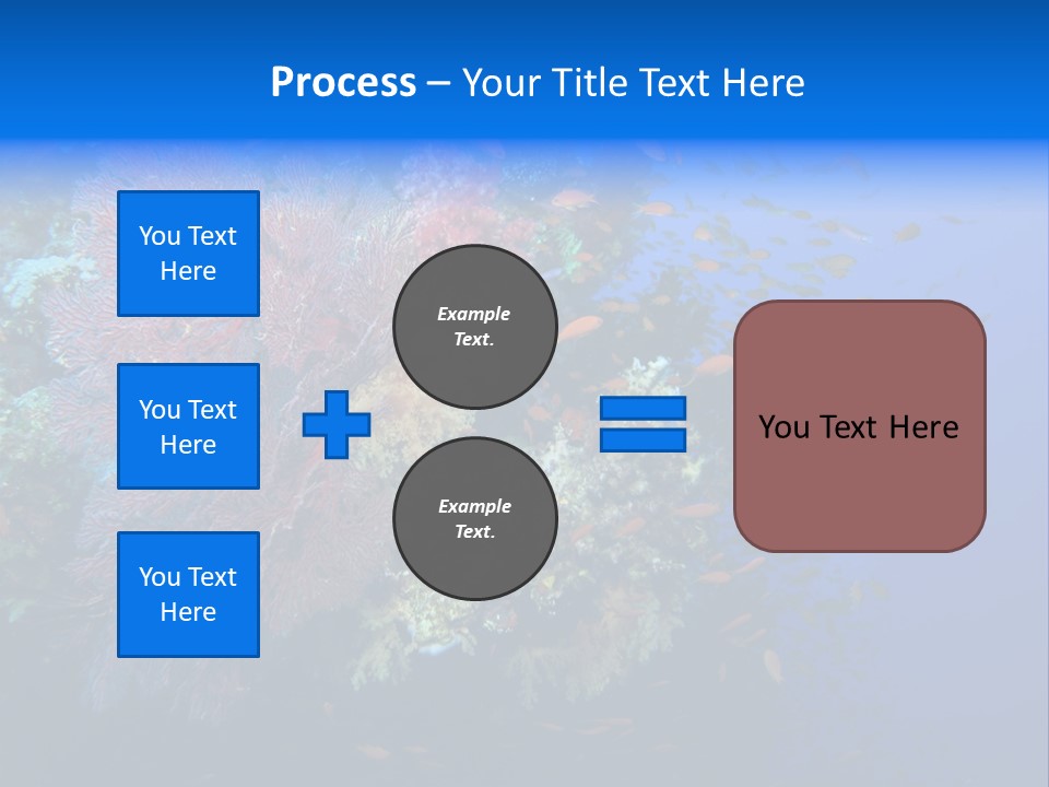 Barrier Clownfish Shallow PowerPoint Template