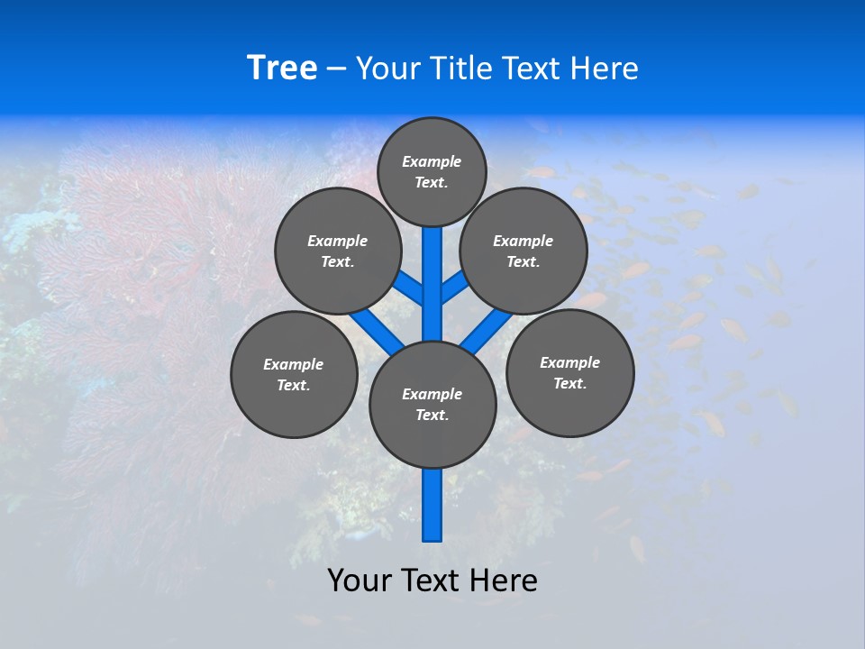 Barrier Clownfish Shallow PowerPoint Template