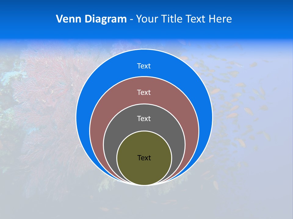 Barrier Clownfish Shallow PowerPoint Template