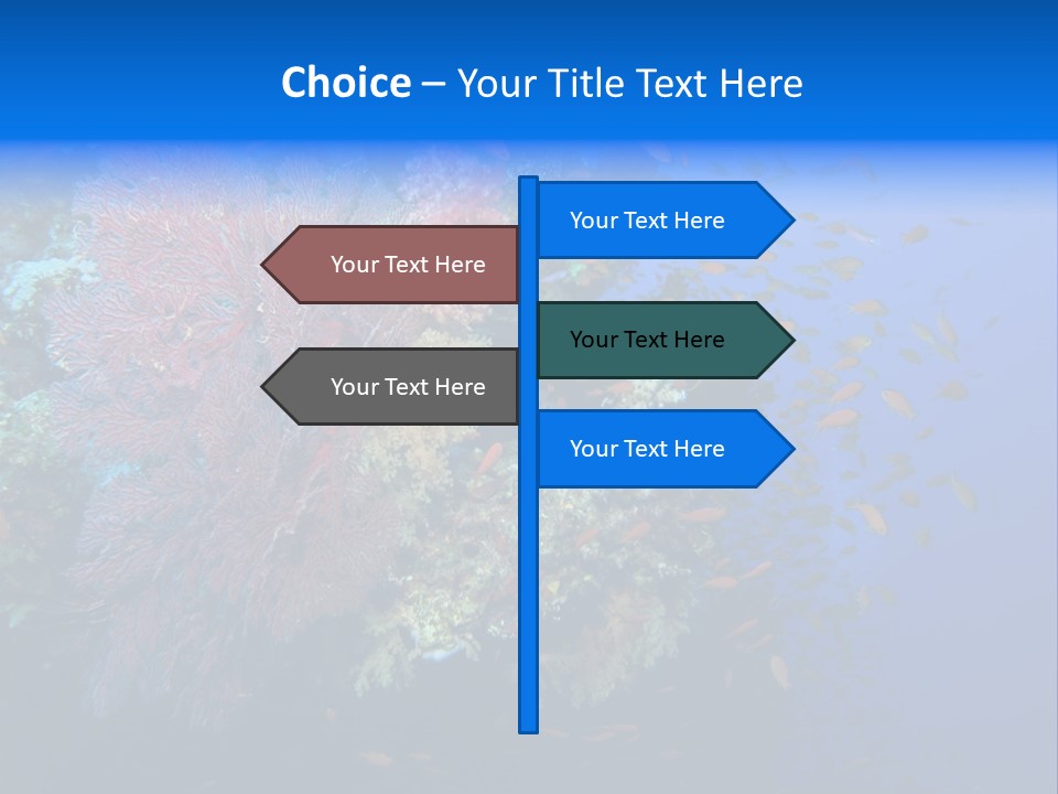 Barrier Clownfish Shallow PowerPoint Template