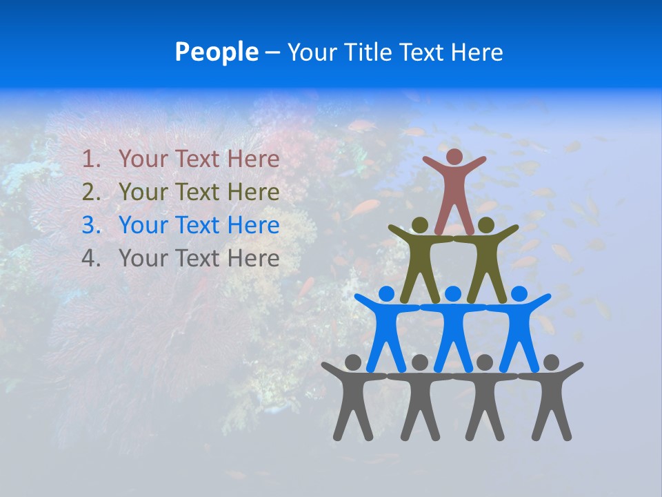 Barrier Clownfish Shallow PowerPoint Template