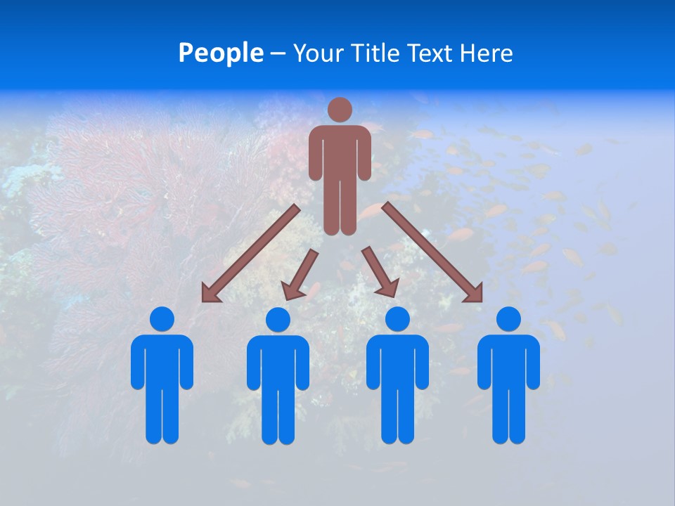 Barrier Clownfish Shallow PowerPoint Template