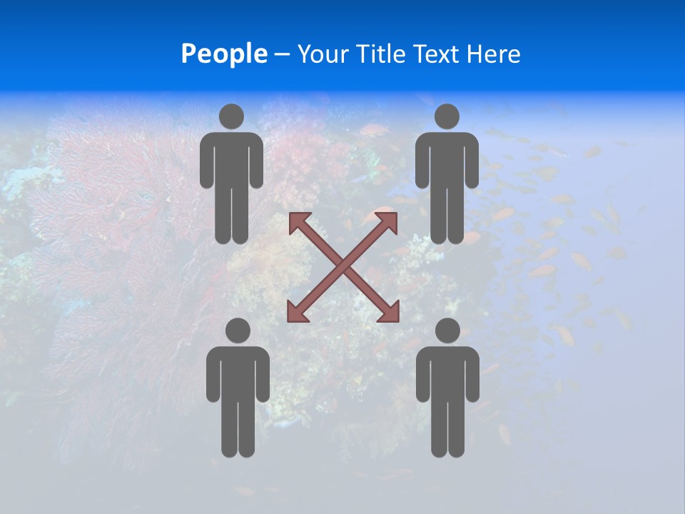 Barrier Clownfish Shallow PowerPoint Template