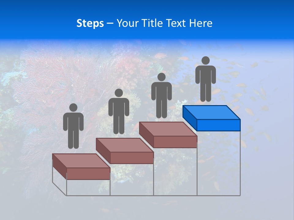 Barrier Clownfish Shallow PowerPoint Template