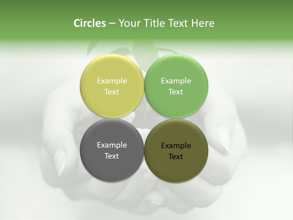 Nature Light Small PowerPoint Template