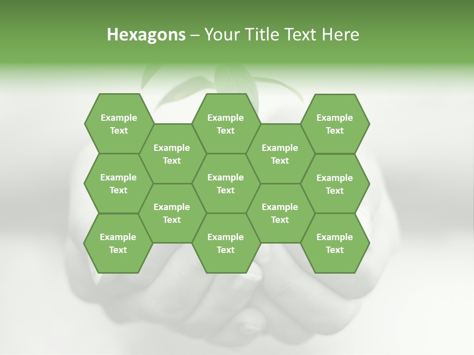 Nature Light Small PowerPoint Template