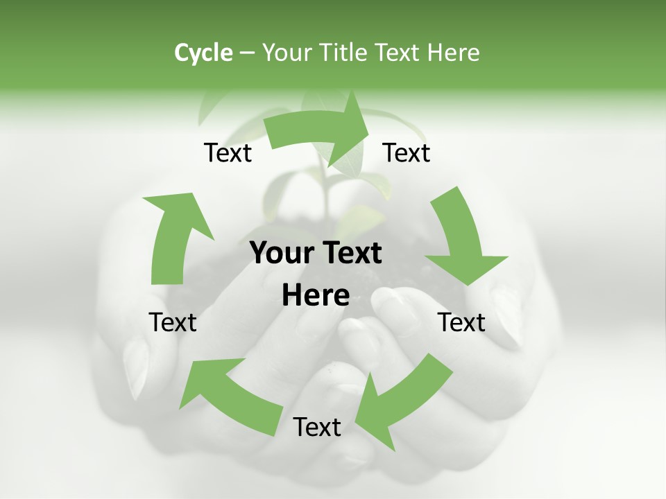 Nature Light Small PowerPoint Template