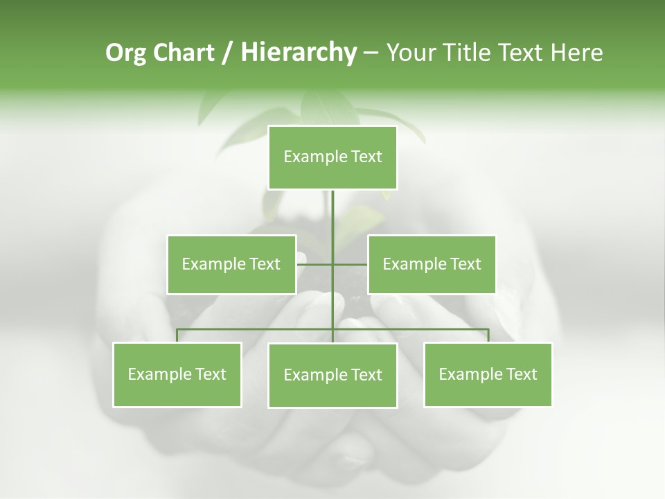 Nature Light Small PowerPoint Template
