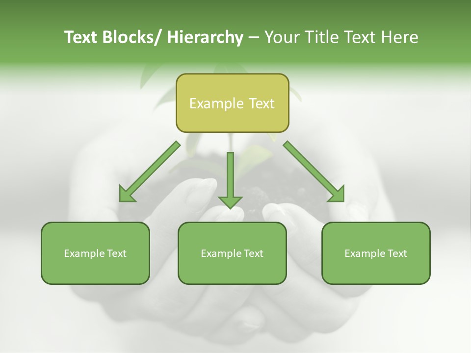 Nature Light Small PowerPoint Template