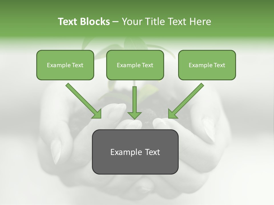 Nature Light Small PowerPoint Template