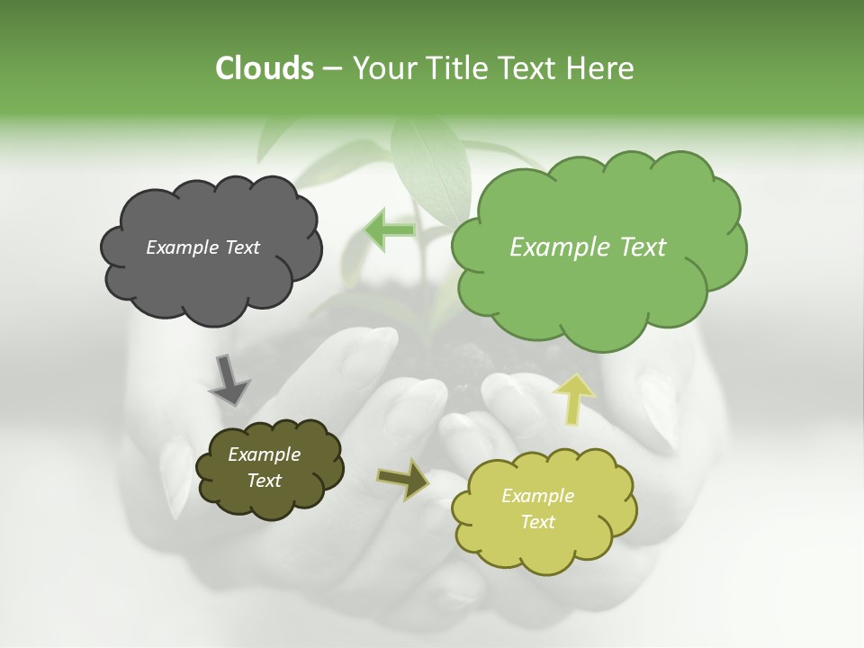 Nature Light Small PowerPoint Template