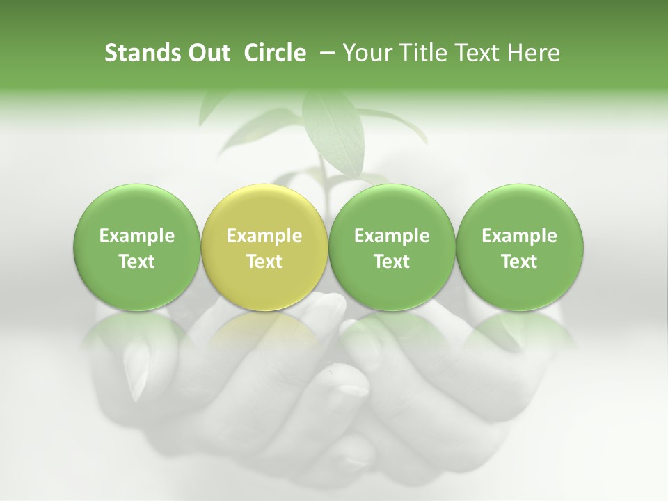 Nature Light Small PowerPoint Template