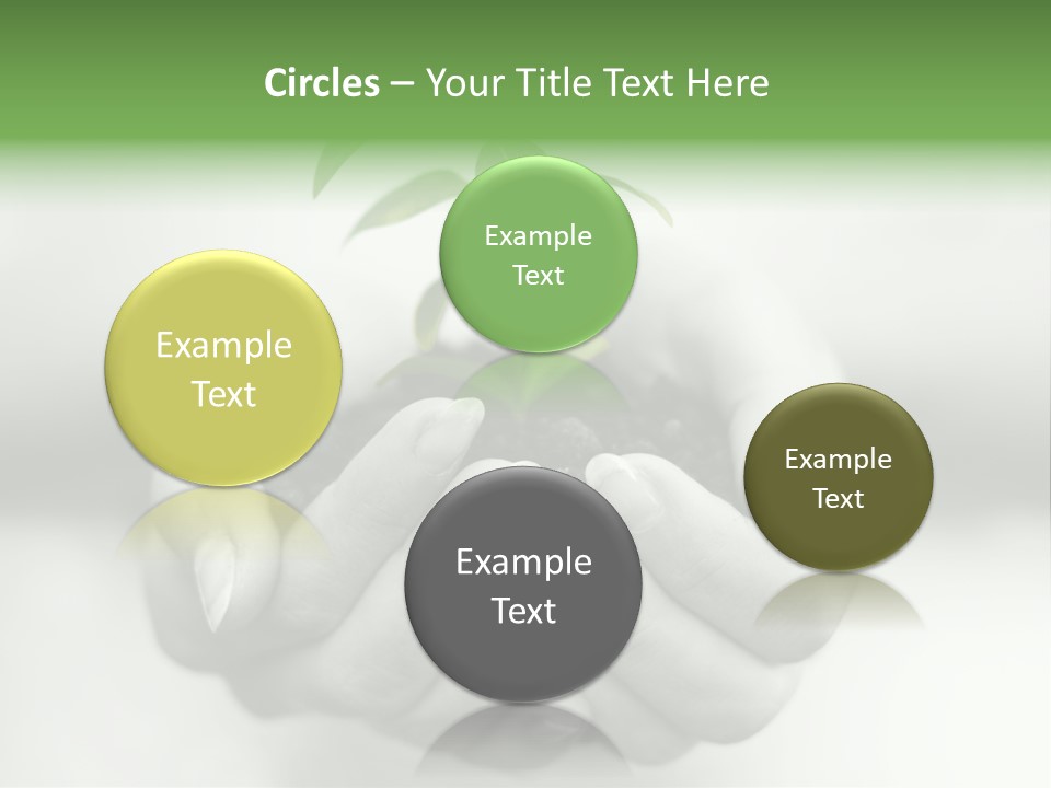 Nature Light Small PowerPoint Template