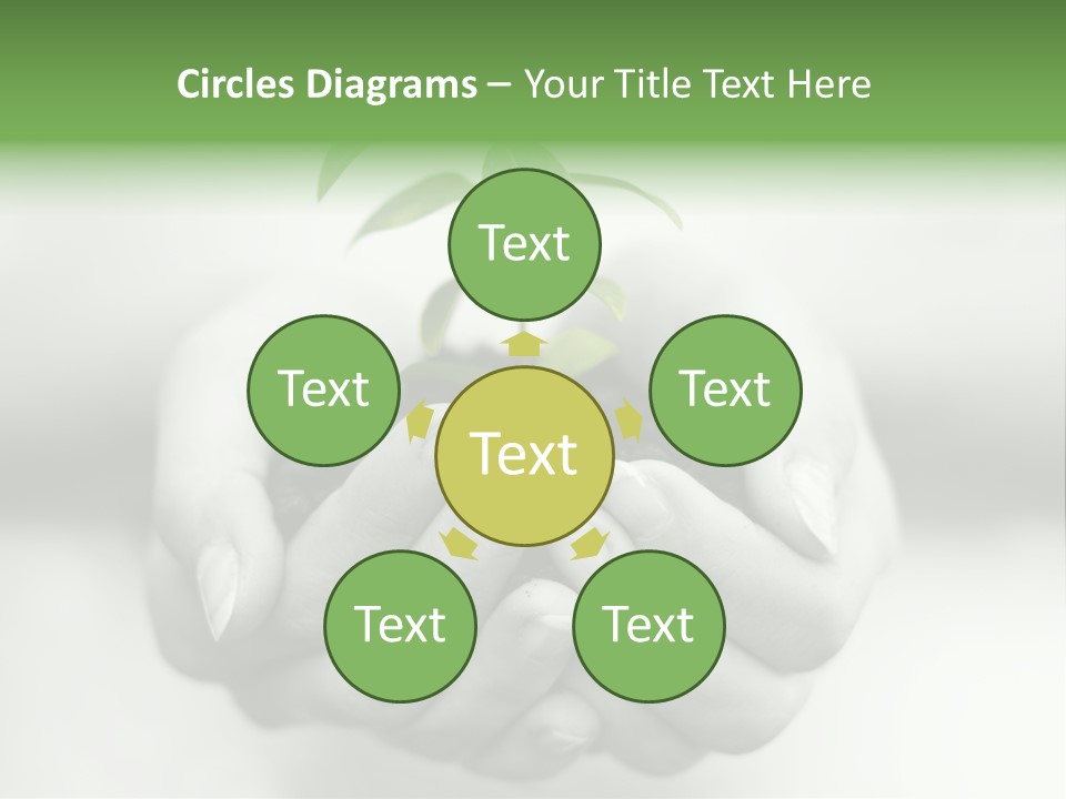 Nature Light Small PowerPoint Template