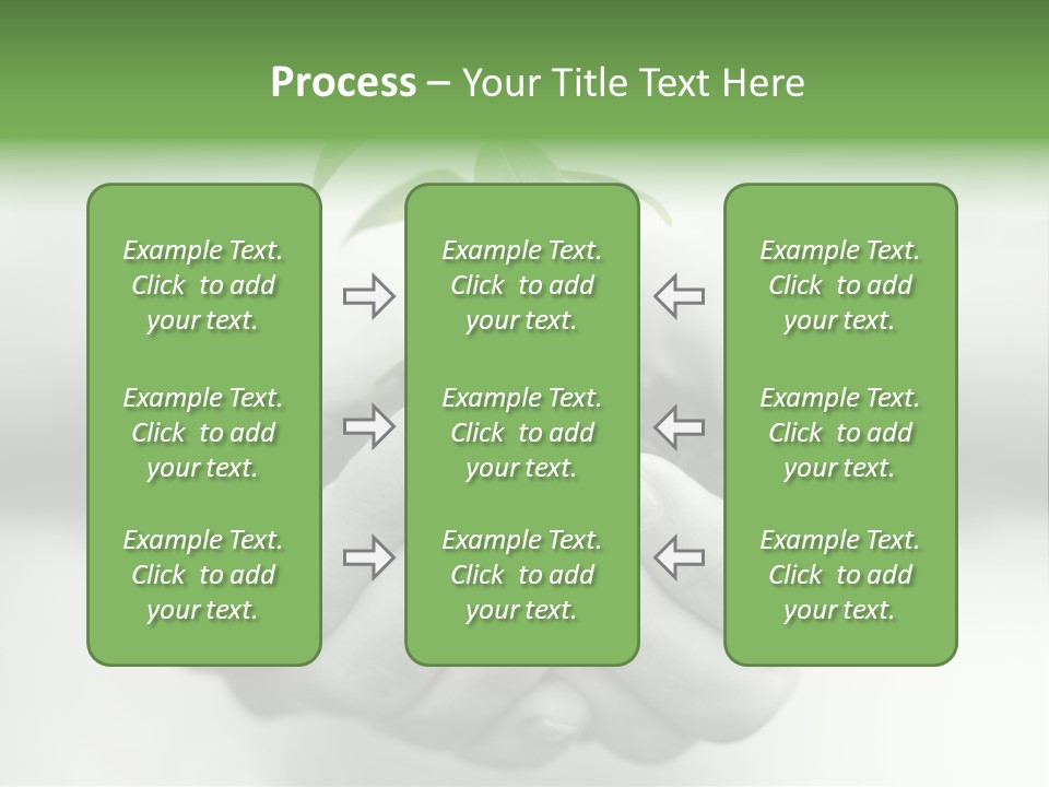 Nature Light Small PowerPoint Template