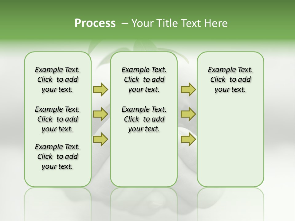 Nature Light Small PowerPoint Template