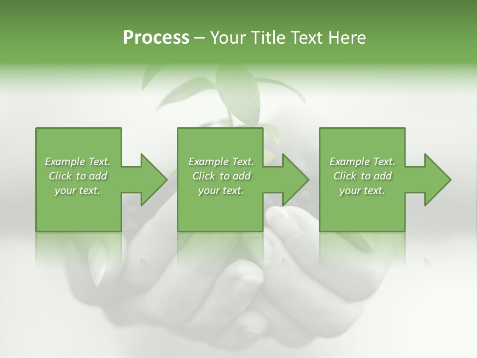 Nature Light Small PowerPoint Template