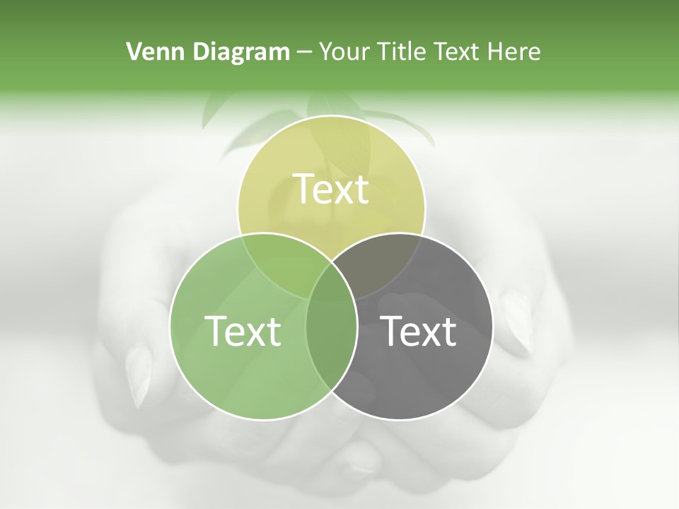 Nature Light Small PowerPoint Template