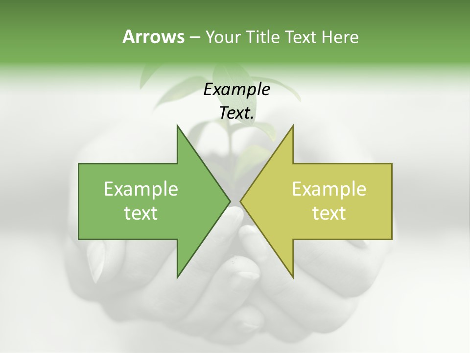 Nature Light Small PowerPoint Template