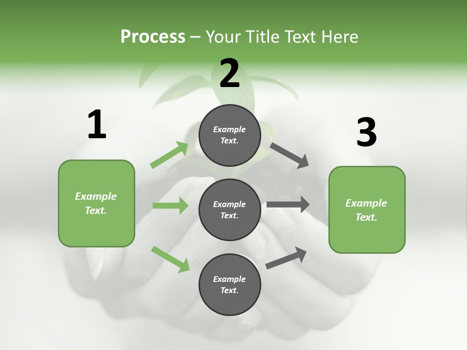 Nature Light Small PowerPoint Template