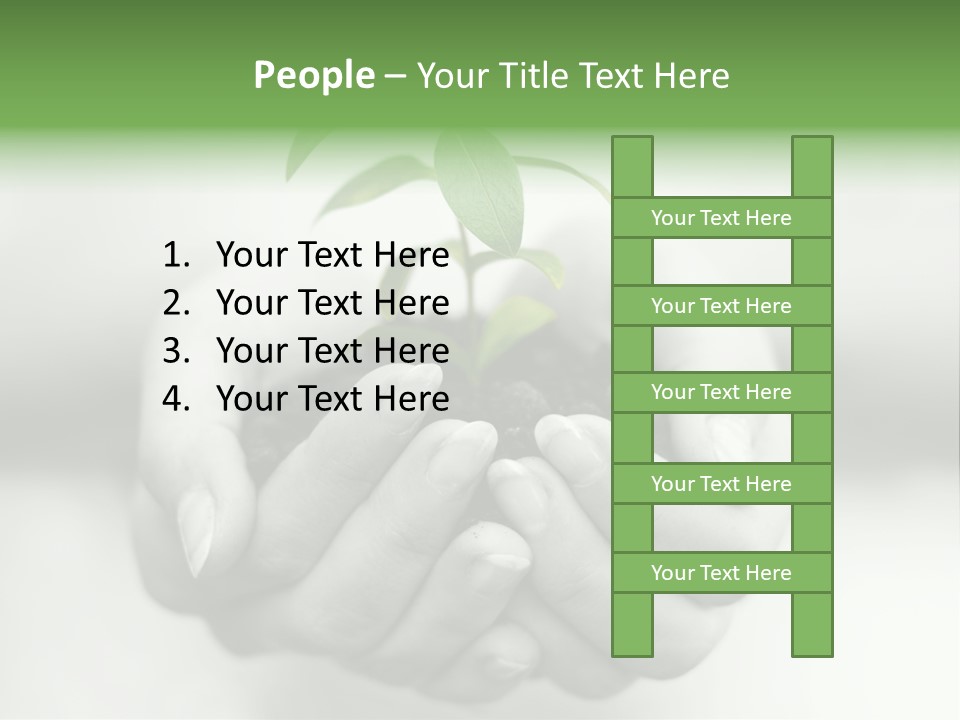 Nature Light Small PowerPoint Template