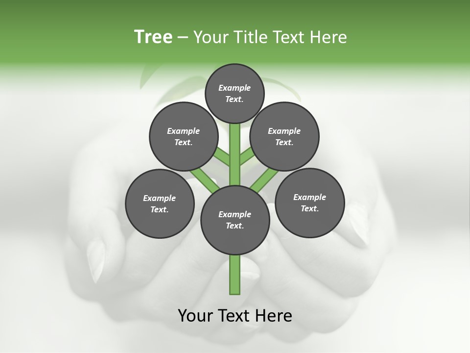 Nature Light Small PowerPoint Template