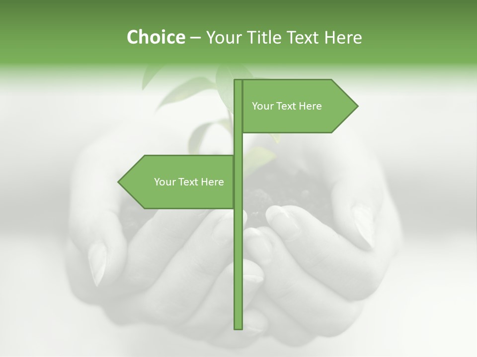 Nature Light Small PowerPoint Template