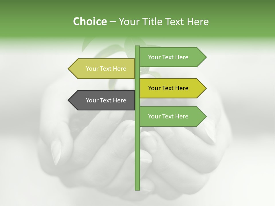 Nature Light Small PowerPoint Template