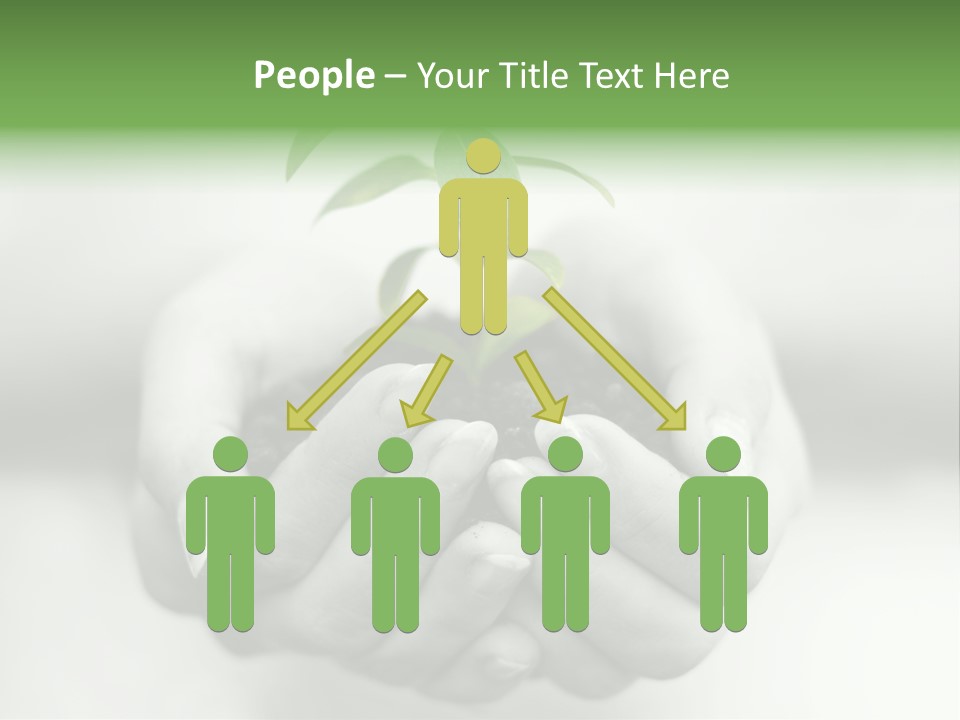 Nature Light Small PowerPoint Template