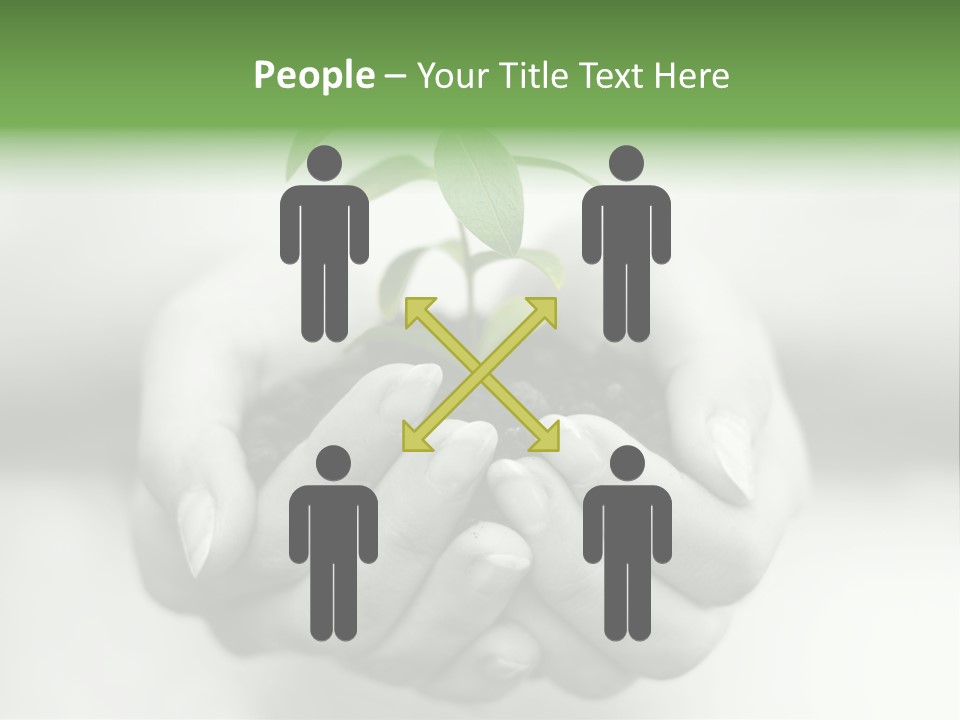 Nature Light Small PowerPoint Template