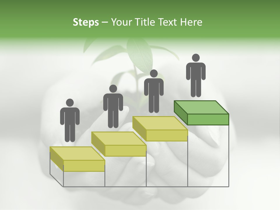 Nature Light Small PowerPoint Template