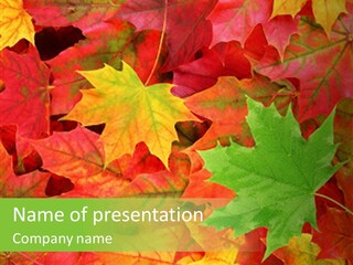 Park Fall Autumn PowerPoint Template