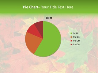 Park Fall Autumn PowerPoint Template