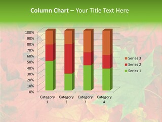 Park Fall Autumn PowerPoint Template