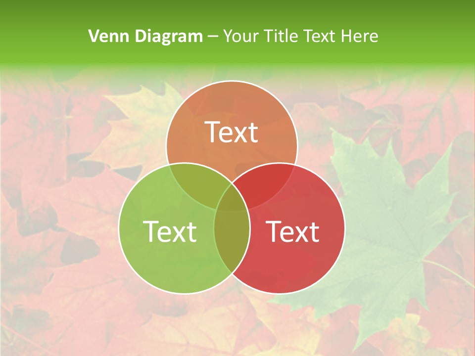Park Fall Autumn PowerPoint Template