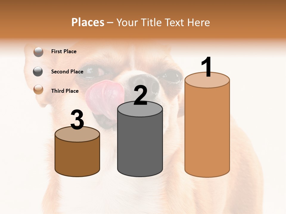 Domestic Savor Fat PowerPoint Template