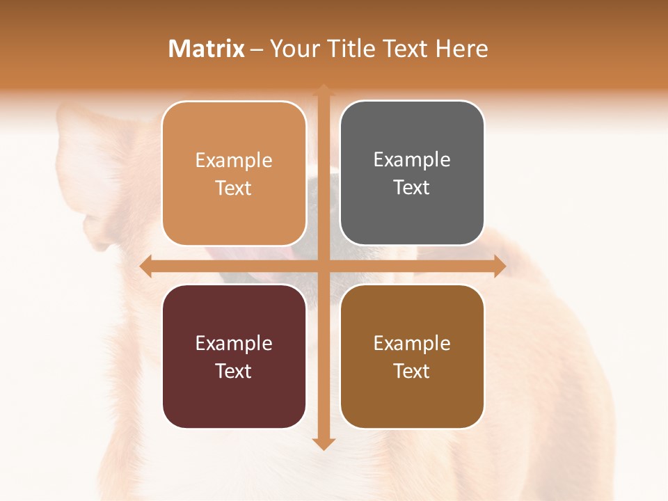 Domestic Savor Fat PowerPoint Template