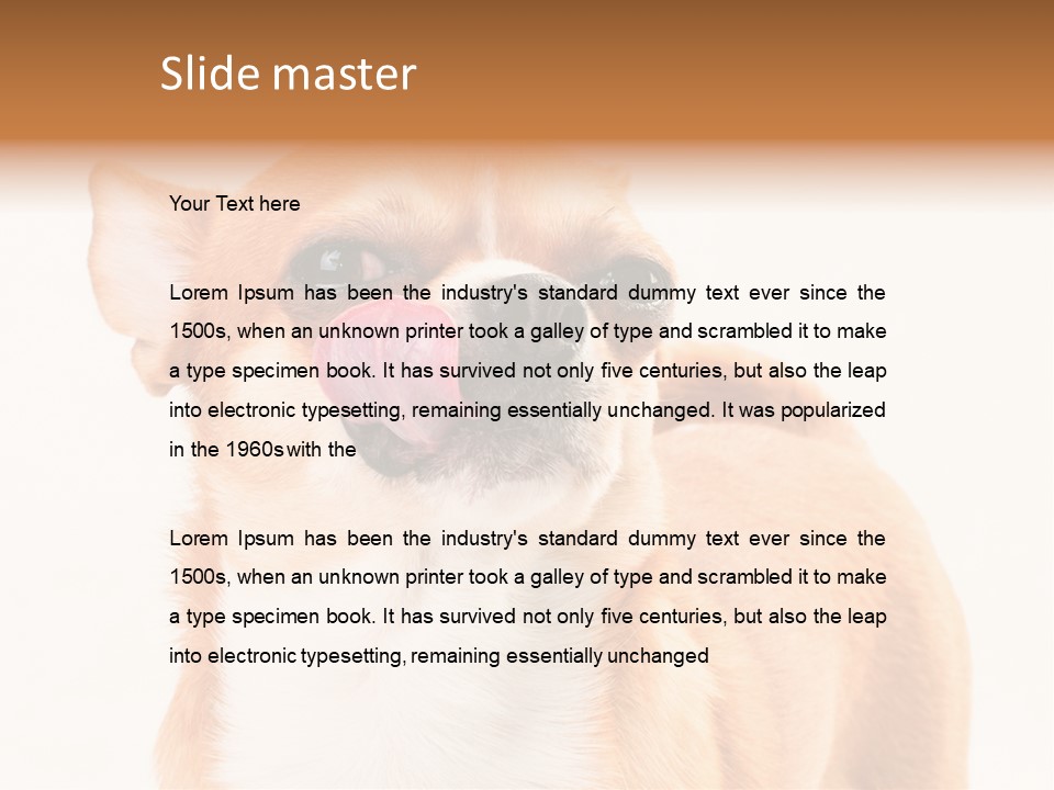 Domestic Savor Fat PowerPoint Template