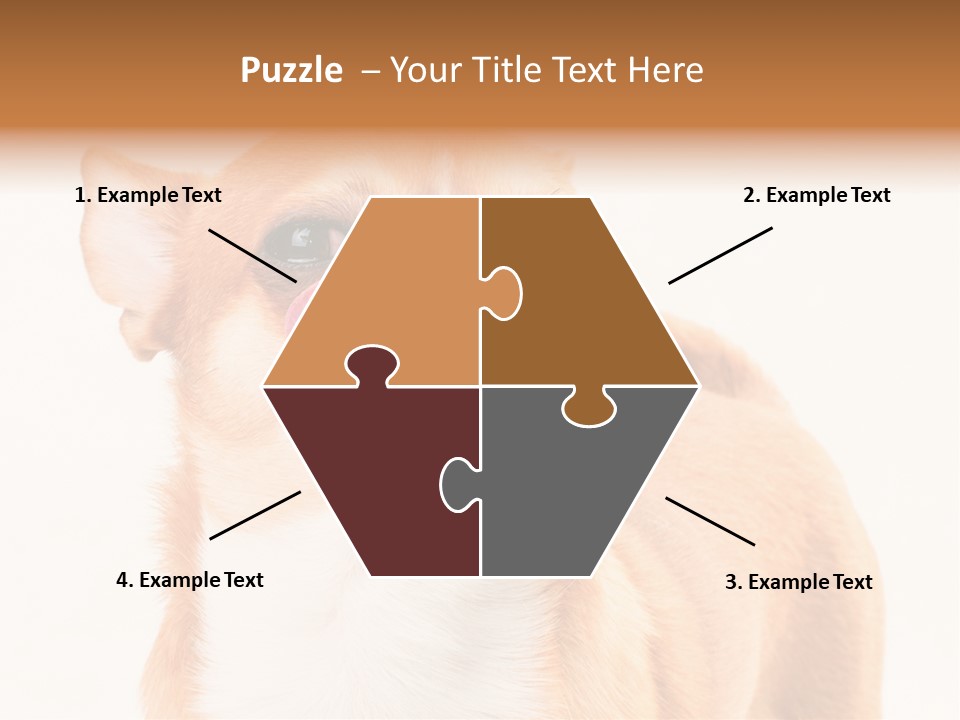 Domestic Savor Fat PowerPoint Template