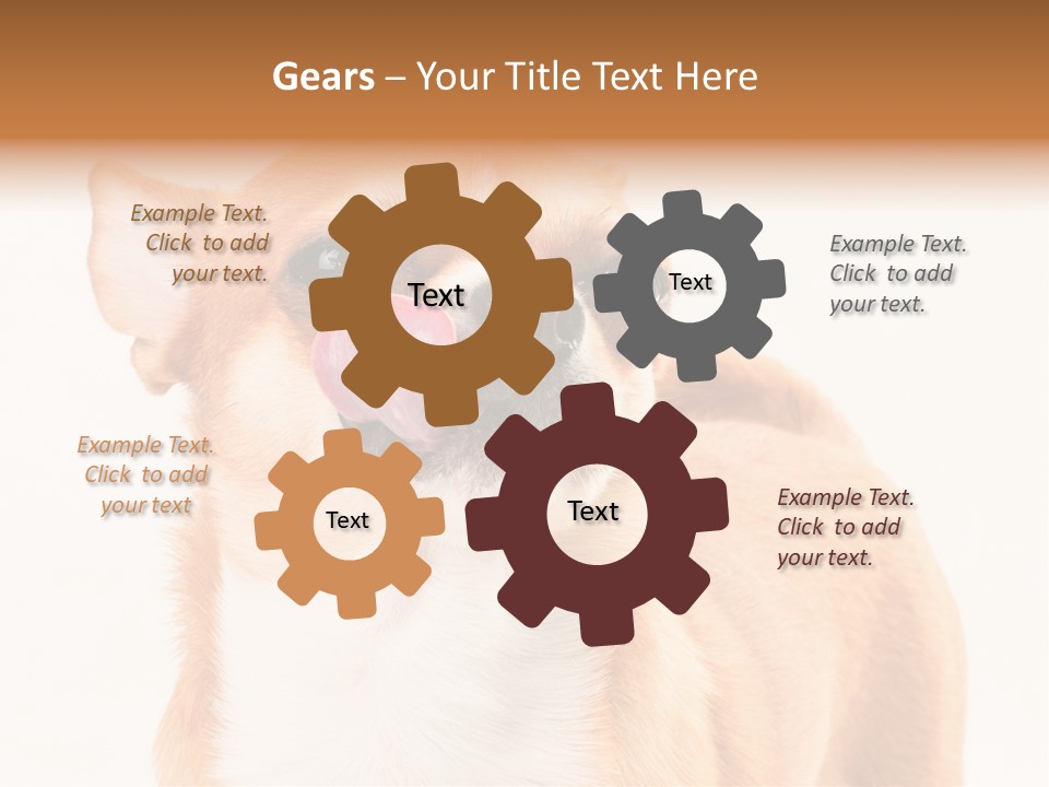 Domestic Savor Fat PowerPoint Template