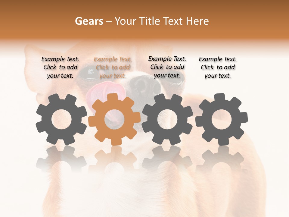 Domestic Savor Fat PowerPoint Template