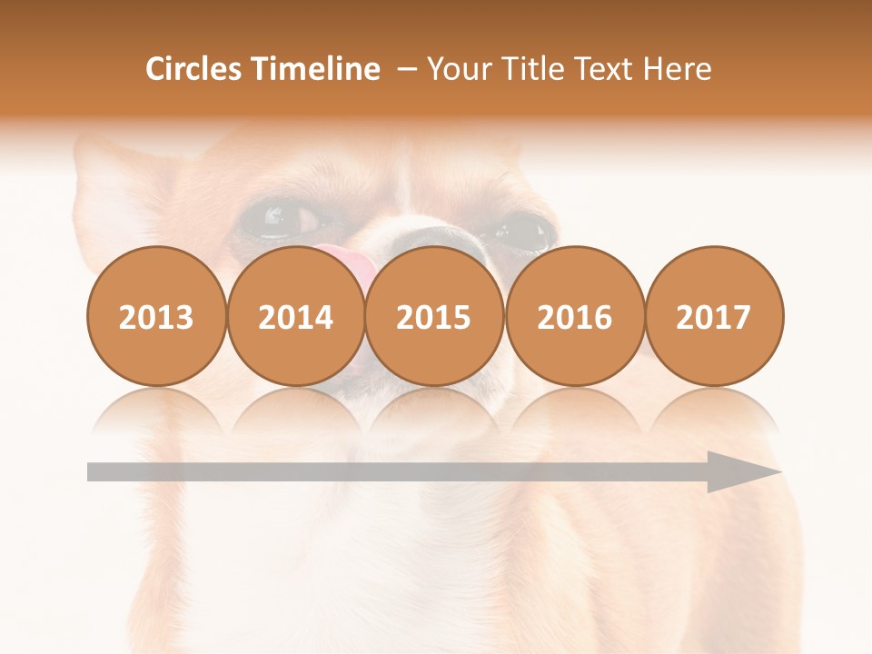 Domestic Savor Fat PowerPoint Template